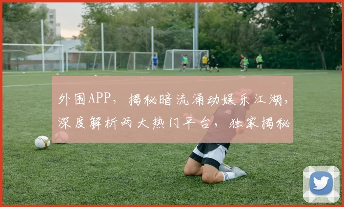 外围APP，揭秘暗流涌动娱乐江湖，深度解析两大热门平台，独家揭秘行业秘密